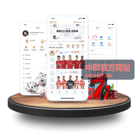 中欧数字经济专题 中欧官方网站
